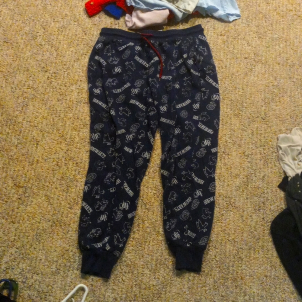 Harry Potter sweatpants